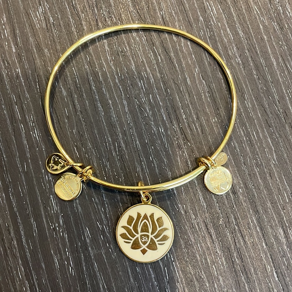 Alex and ani bracelet